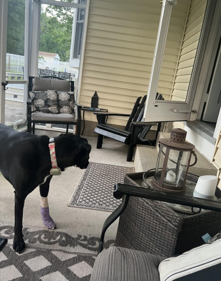 Thử tài tinh mắt - Ảnh 3.