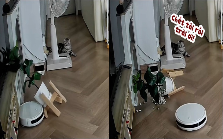 Thành ngữ châm biếm kẻ hay nói đạo lý, khoe của này là gì? - Ảnh 6.