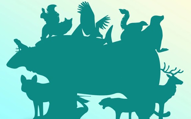 Mắt cú vọ mới thấy con báo nấp ở đâu - Ảnh 8.