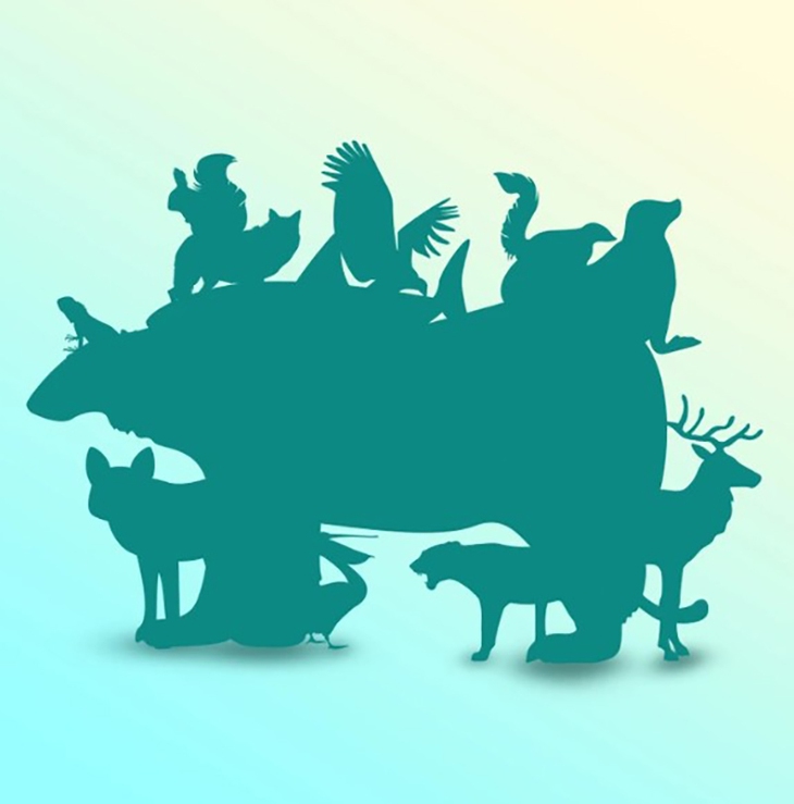 tinh mắt - Ảnh 1.