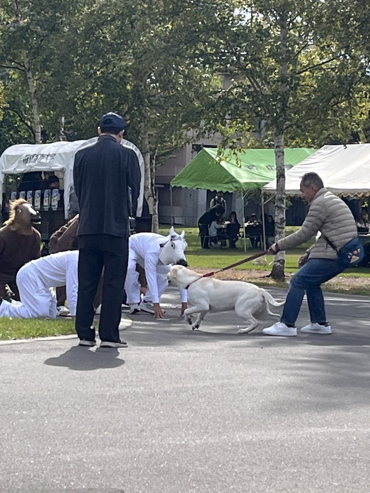 bỉ ngạn - Ảnh 1.