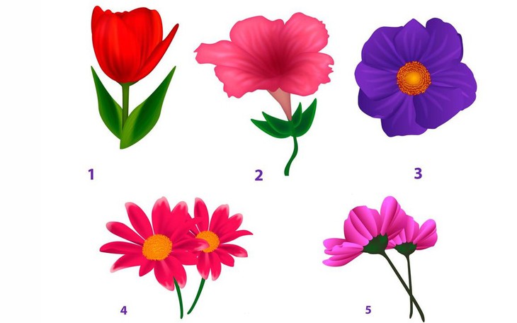 Quiz: Cách bạn nấu mì tiết lộ con người thật bên trong bạn - Ảnh 2.