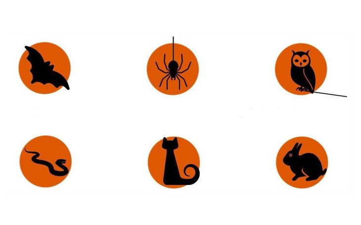 Quiz: Tình yêu của bạn sắp "đơm hoa kết trái" hay vẫn chờ thời? - Ảnh 3.