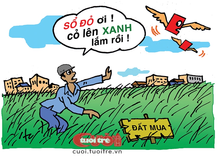 Chờ đợi cả thập kỷ, cỏ lên xanh mà chưa có sổ đỏ - Ảnh 1.