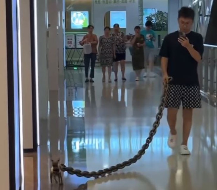 giá vàng - Ảnh 7.