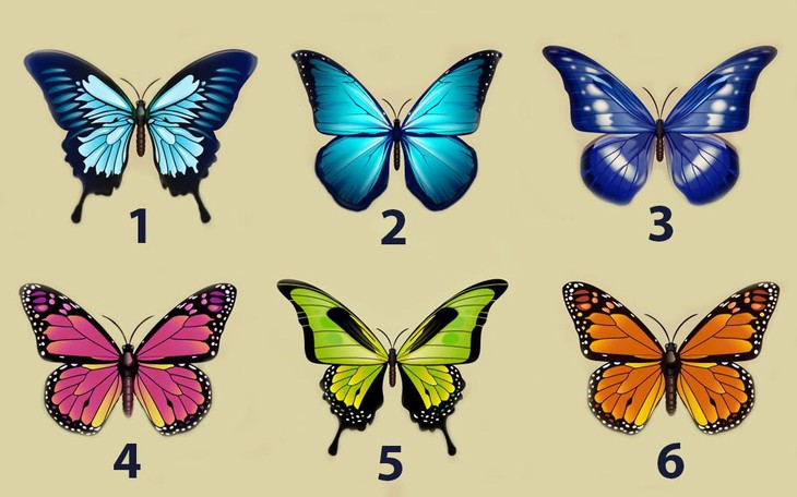 Quiz: Trong mắt người khác phái, bạn có sức hút thế nào? - Ảnh 2.