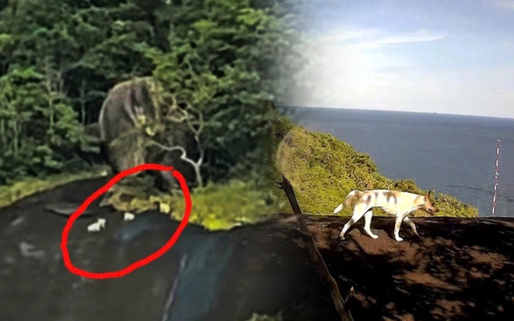 Cụ ông U80 bỏ ra 4,5 tỉ làm sính lễ cưới vợ 24 tuổi  - Ảnh 5.