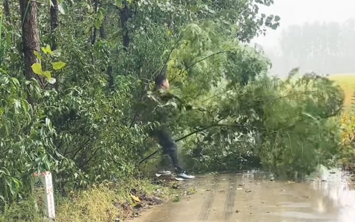 Mắt cú vọ mới thấy con báo nấp ở đâu - Ảnh 13.