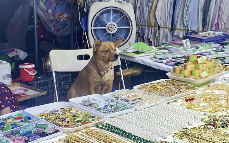 Trúng số độc đắc 35 tỉ, chồng giấu vợ tiêu sạch tiền cho bồ nhí - Ảnh 4.