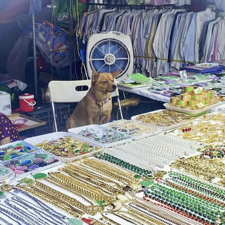 mua vàng - Ảnh 1.