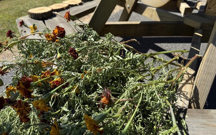 Quiz: Bạn là người phụ nữ lãnh đạo hay kiên cường? - Ảnh 5.