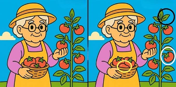 con rắn - Ảnh 6.