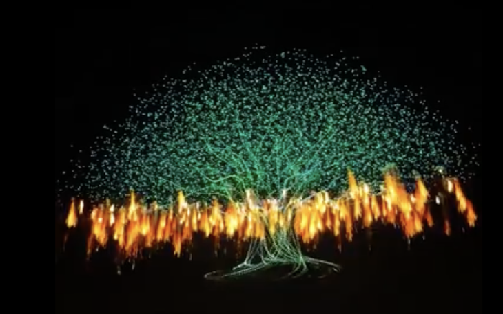 TikToker Con Cò Đây là ai, bất ngờ vượt mặt Tina Thảo Thi, Việt Phương Thoa? - Ảnh 6.