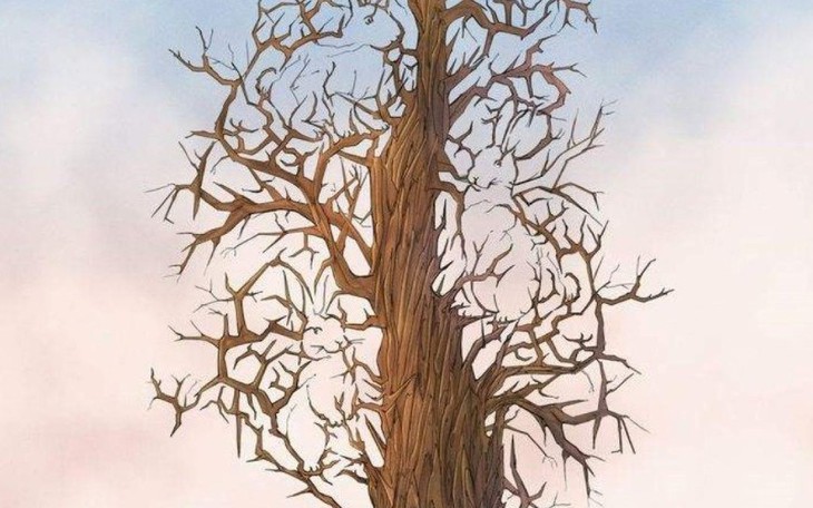 Thử tài IQ: Di chuyển một que diêm để 16+5=8 thành phép tính đúng - Ảnh 7.