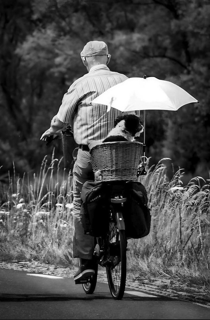 người cao tuổi - Ảnh 2.