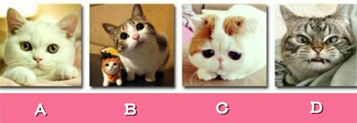 Quiz: Trong mắt người khác phái, bạn là người thế nào? - Ảnh 1.