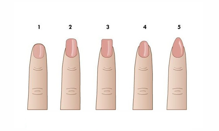 móng tay - Ảnh 1.