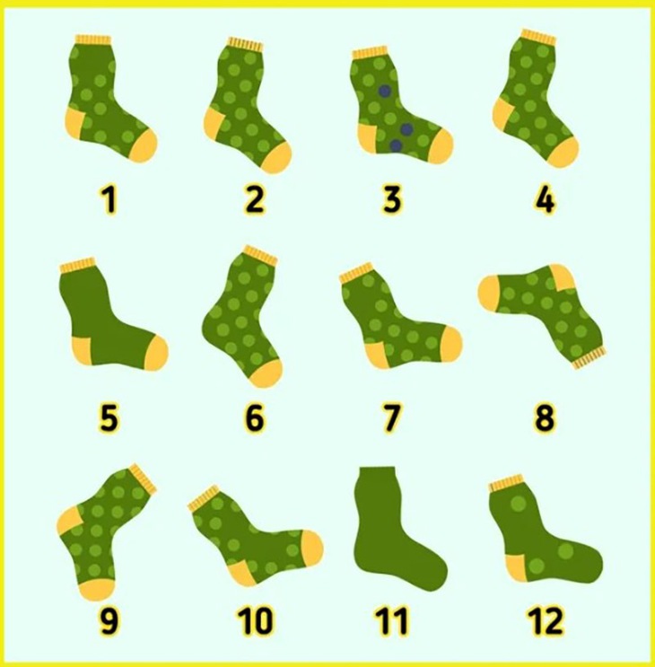 con nhện - Ảnh 4.