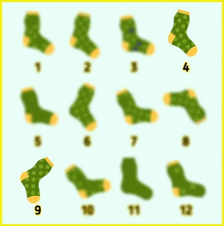 con nhện - Ảnh 5.