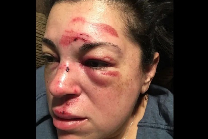 rễ cây - Ảnh 1.