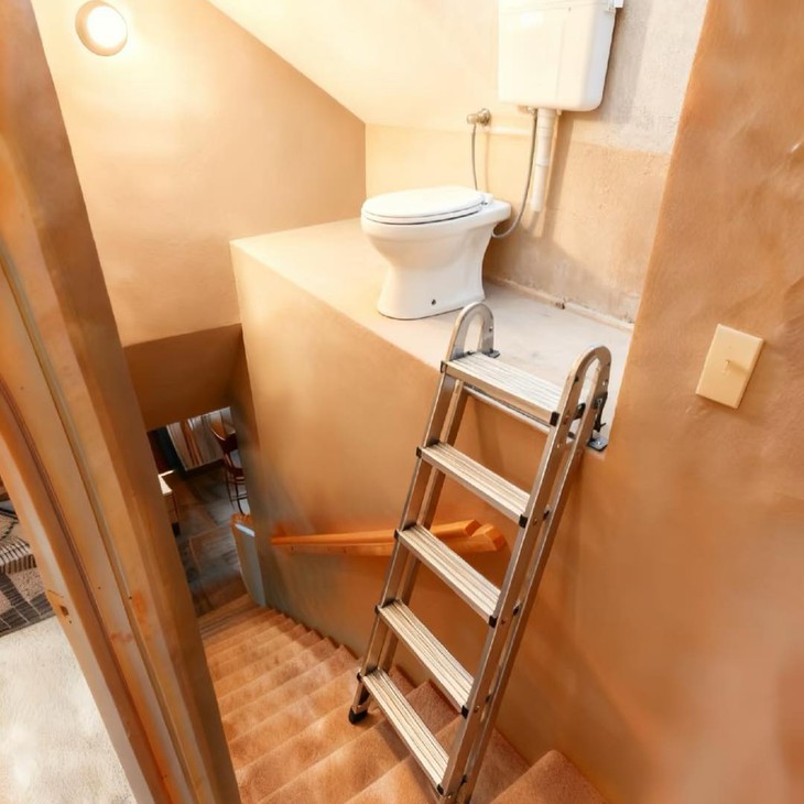 dân mạng - Ảnh 3.