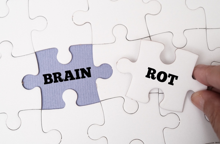 não bộ - Ảnh 1.