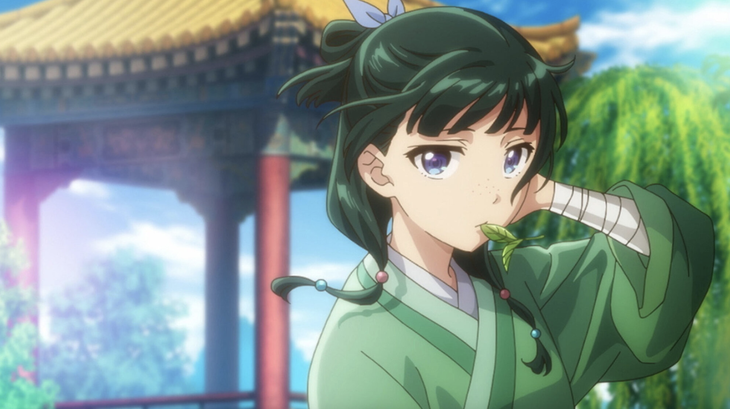 The Apothecary Diaries - Ảnh 1.