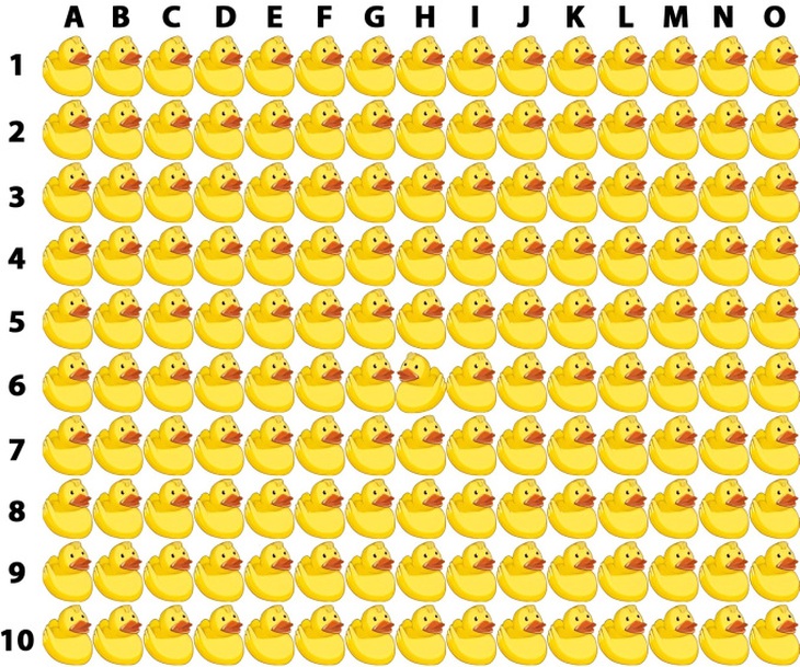 con thỏ - Ảnh 3.