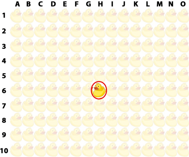 con thỏ - Ảnh 4.