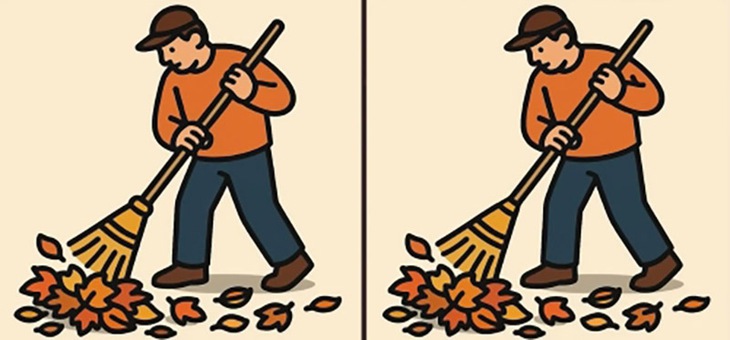 con hươu  - Ảnh 5.