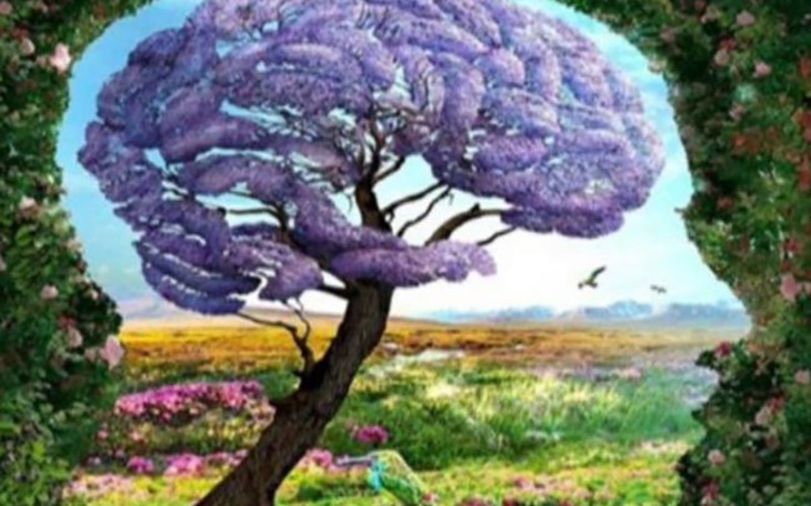 Quiz: Điểm mạnh của bạn là gì? - Ảnh 3.