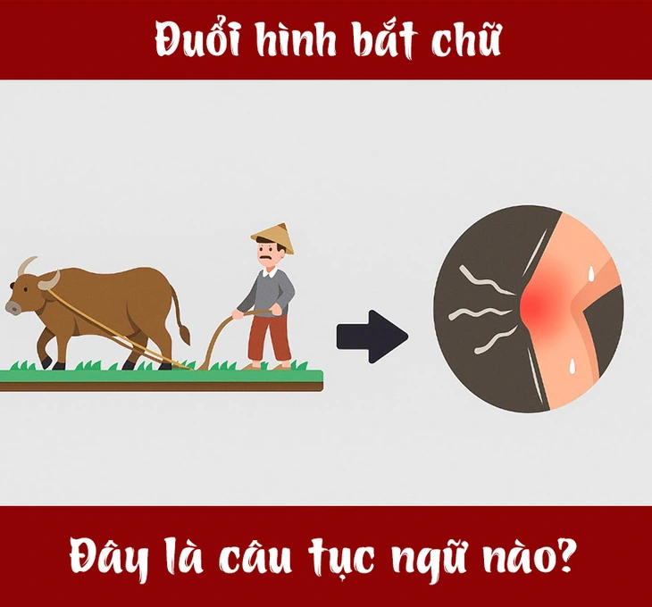 tục ngữ - Ảnh 1.