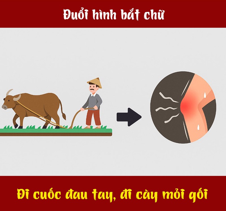 tục ngữ - Ảnh 2.