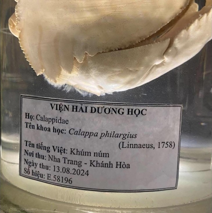 tiết kiệm - Ảnh 6.