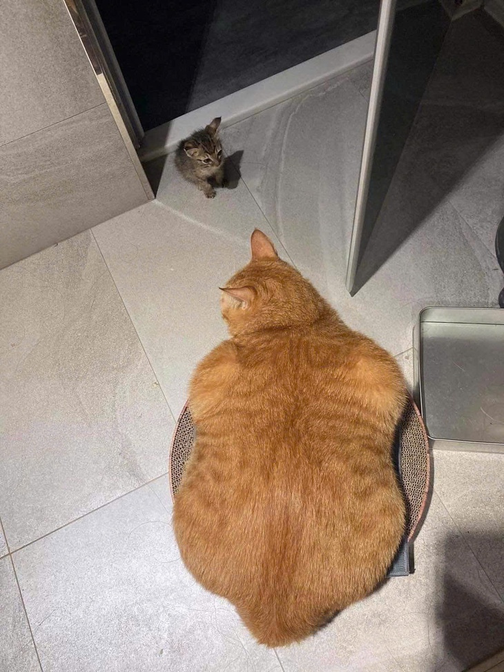 tiết kiệm - Ảnh 3.