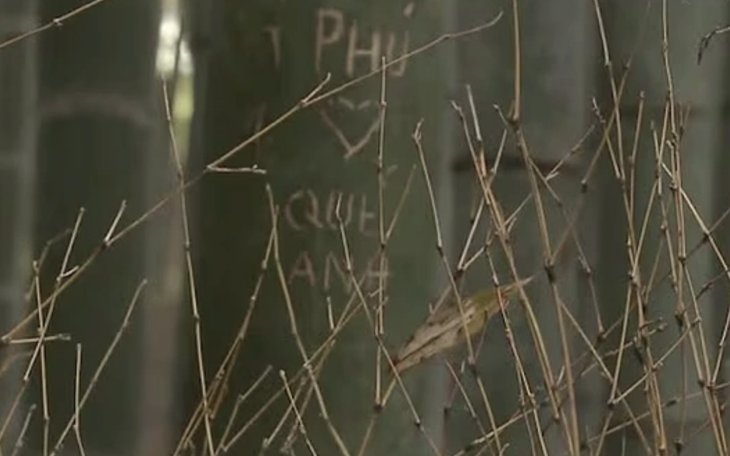 TikToker Tàng Keng Ông Trùm bị bắt vì đăng clip chia rẽ vùng miền, trước đó có ai? - Ảnh 4.