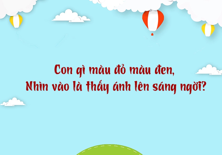 câu đố - Ảnh 3.