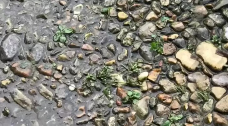 khuôn mặt - Ảnh 3.