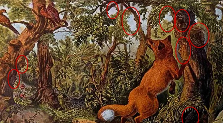 khuôn mặt - Ảnh 2.