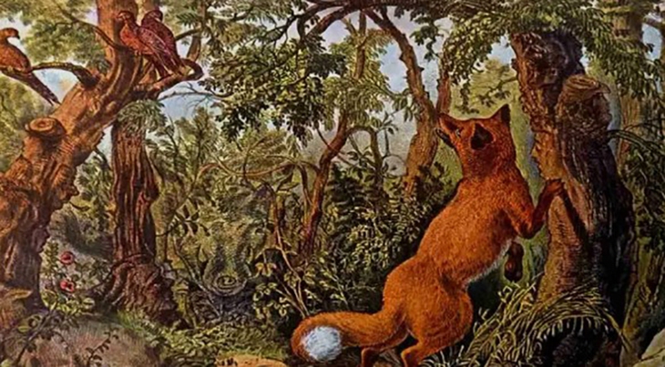 khuôn mặt - Ảnh 1.