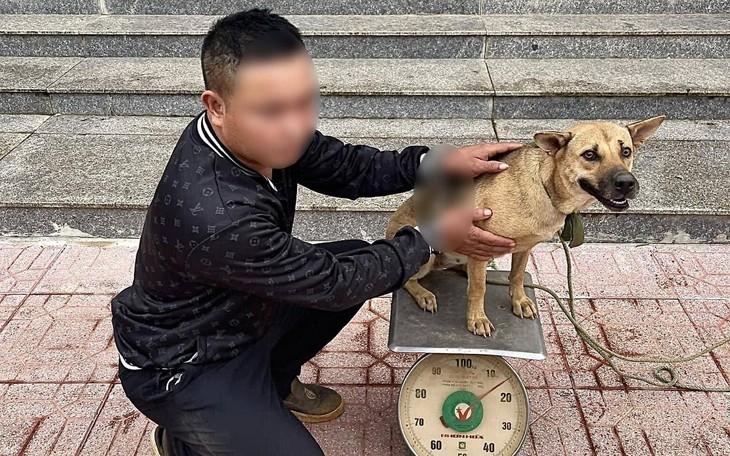 Kiến trúc sư sống trong thùng rác để tiết kiệm tiền thuê nhà - Ảnh 4.