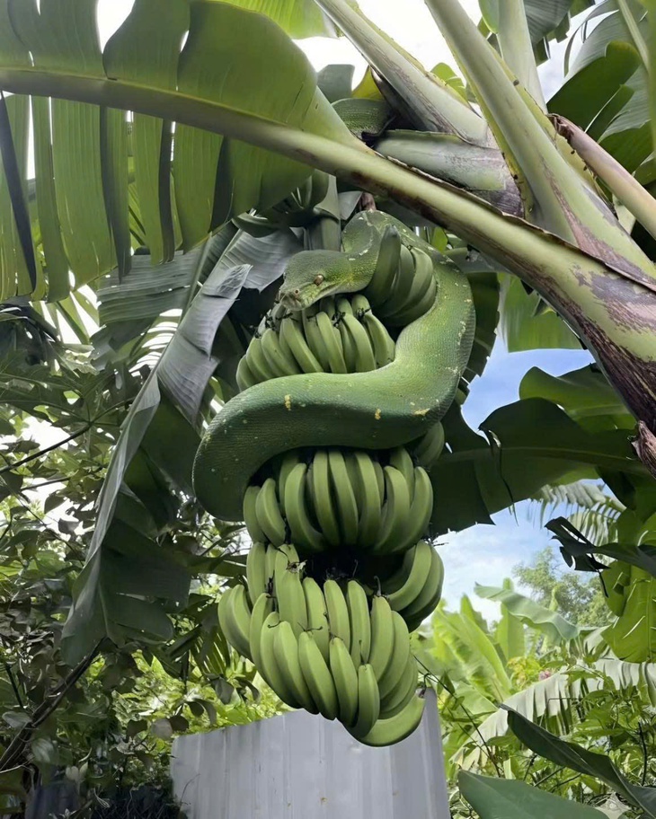 bị hại - Ảnh 5.