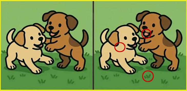 tinh mắt - Ảnh 6.