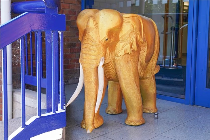 Sheffield Wednesday - Ảnh 1.