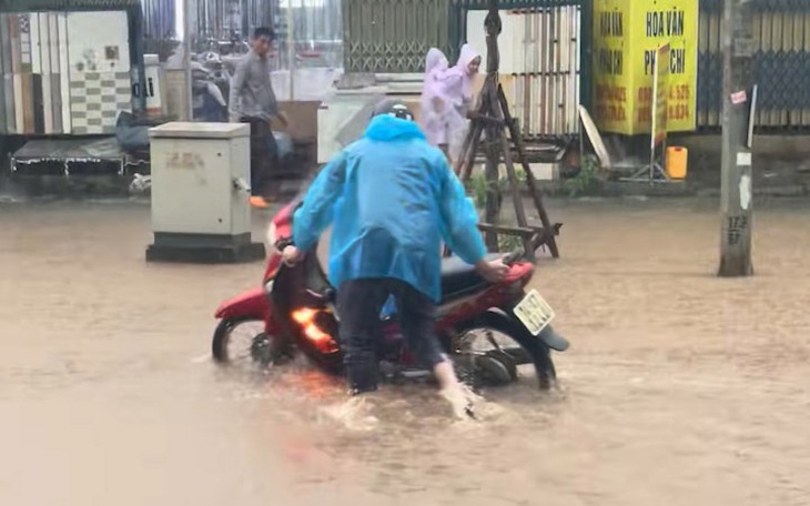 Từ nào trong tiếng Việt đảo ngược mà nghĩa không đổi? - Ảnh 12.