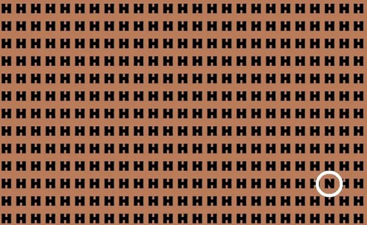 Mắt cú vọ mới thấy con ếch ở đâu - Ảnh 5.