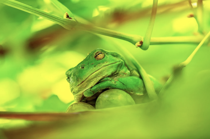 hài hước - Ảnh 7.