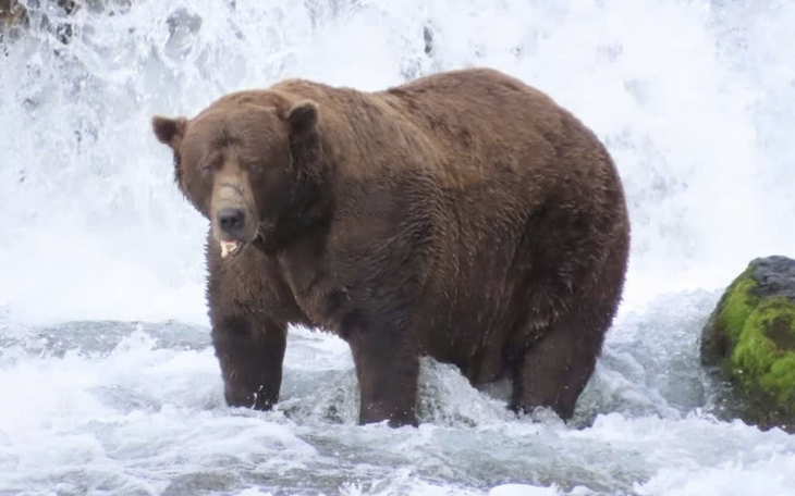 Hành trình kỳ diệu của 'cậu bé phù thủy' sau 9 năm - Ảnh 6.