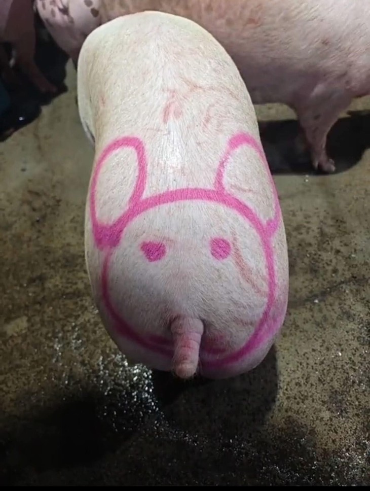 Ảnh vui 4-10: 'Hôm nọ khách hàng đòi thịt tươi hơn?!' - Ảnh 5.