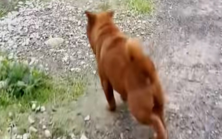 Vị trí nốt ruồi tiết lộ gì về công việc, cuộc sống của bạn - Ảnh 7.